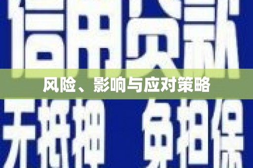 九江风险、影响与应对策略