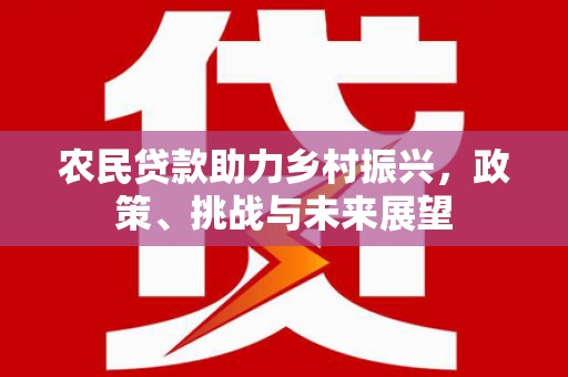 九江农民贷款助力乡村振兴，政策、挑战与未来展望
