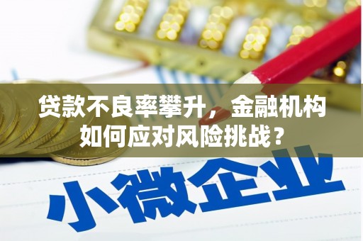 九江贷款不良率攀升，金融机构如何应对风险挑战？