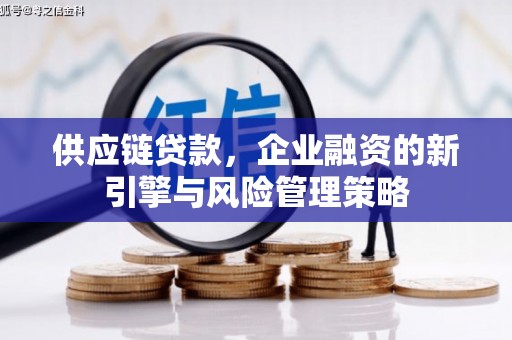 九江供应链贷款，企业融资的新引擎与风险管理策略