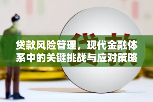 九江贷款风险管理，现代金融体系中的关键挑战与应对策略