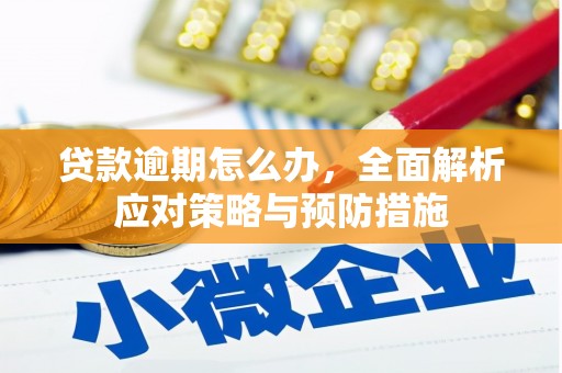 九江贷款逾期怎么办，全面解析应对策略与预防措施