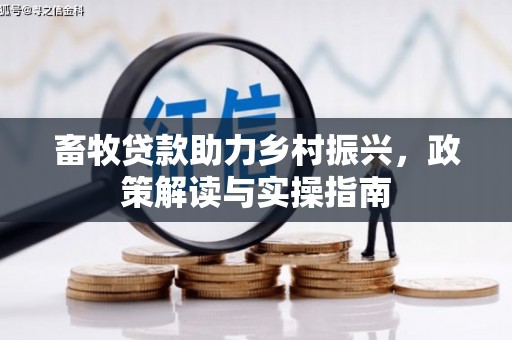 九江畜牧贷款助力乡村振兴，政策解读与实操指南