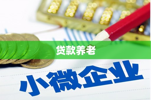 九江贷款养老