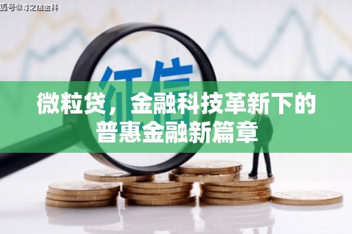 九江微粒贷，金融科技革新下的普惠金融新篇章