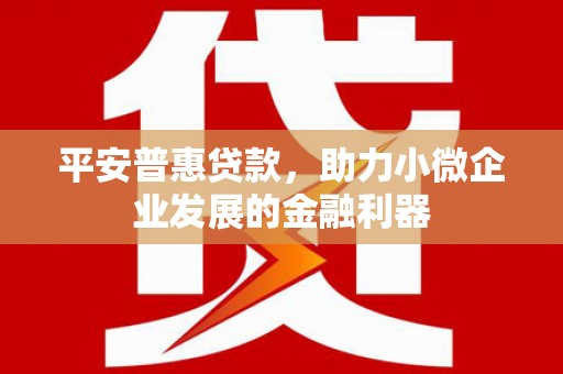 九江平安普惠贷款，助力小微企业发展的金融利器