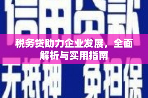 九江税务贷助力企业发展，全面解析与实用指南
