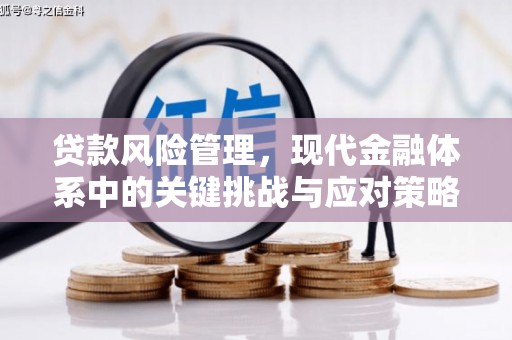 九江贷款风险管理，现代金融体系中的关键挑战与应对策略
