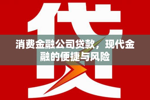 九江消费金融公司贷款，现代金融的便捷与风险