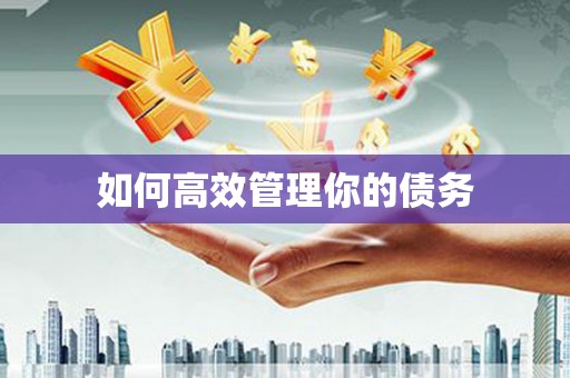 九江如何高效管理你的债务