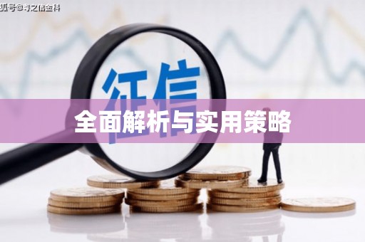 九江全面解析与实用策略