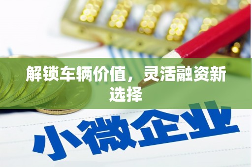九江解锁车辆价值，灵活融资新选择