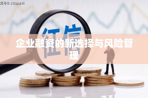 九江企业融资的新选择与风险管理