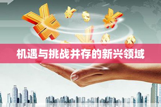 九江机遇与挑战并存的新兴领域