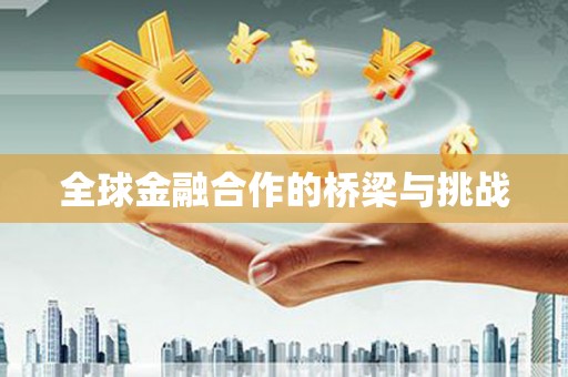 九江全球金融合作的桥梁与挑战