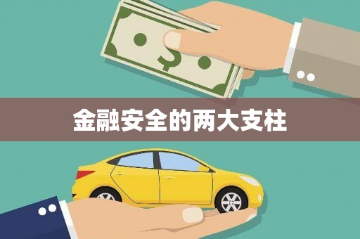 九江金融安全的两大支柱
