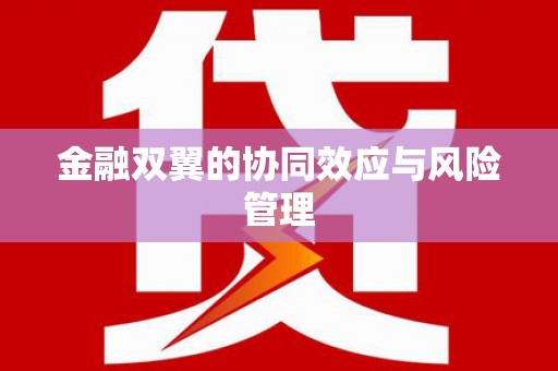 九江金融双翼的协同效应与风险管理