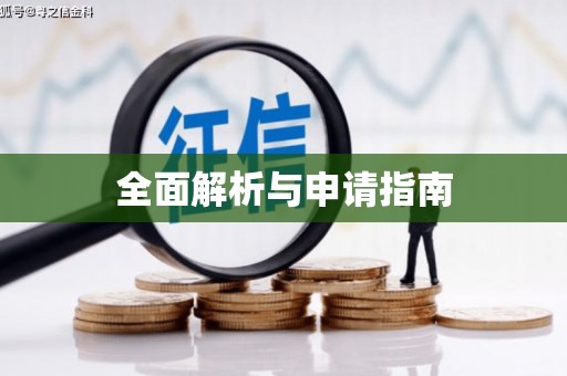 九江全面解析与申请指南