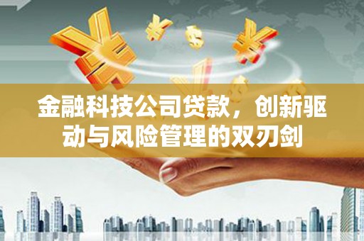 九江金融科技公司贷款，创新驱动与风险管理的双刃剑